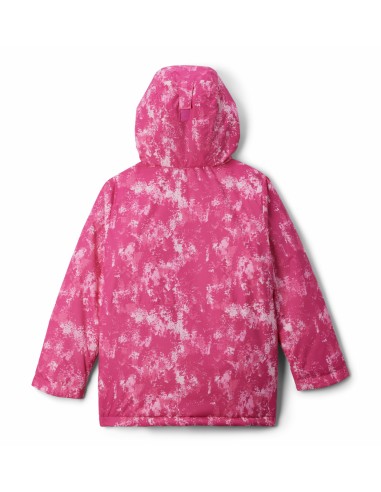 2089701 ALPINE FREE FALL III JACKET