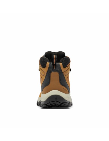 1594731 NEWTON RIDGE PLUS II WATERPROOF HOMBRE