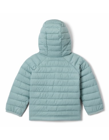 2090043 POWDER LITE II HOODED JACKET