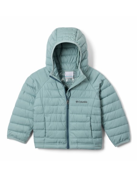 2090043 POWDER LITE II HOODED JACKET