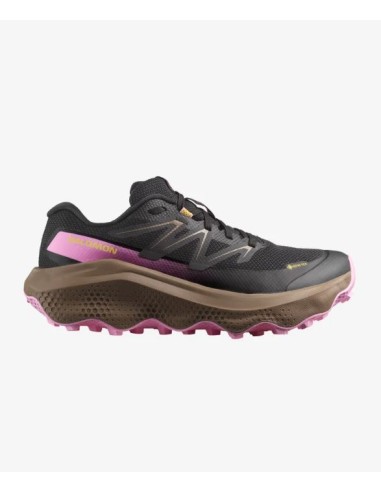 ULTRA FLOW 2 GTX W